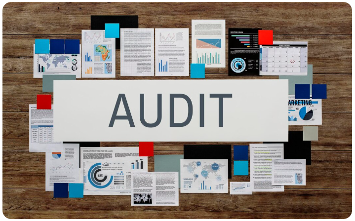System Audit Services